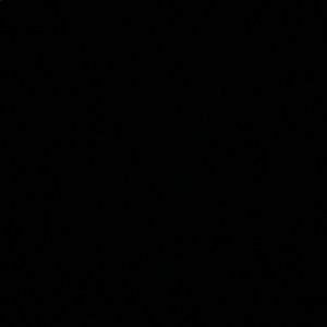 Meet your Posher, Lynn